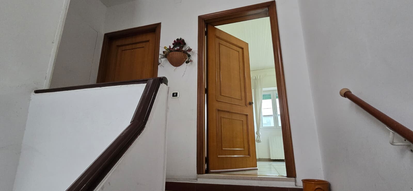 WhatsApp Image 2026-02-10 at 12.46.58