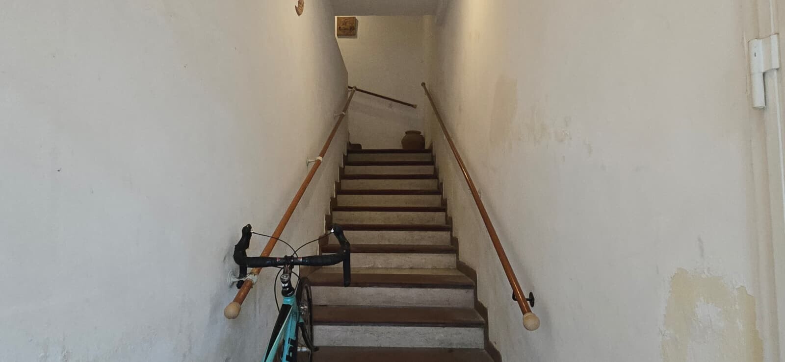 WhatsApp Image 2026-02-10 at 12.46.57_