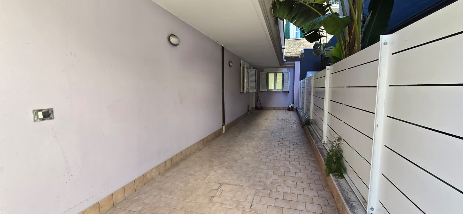 WhatsApp Image 2026-02-16 at 11.04.29 (1)