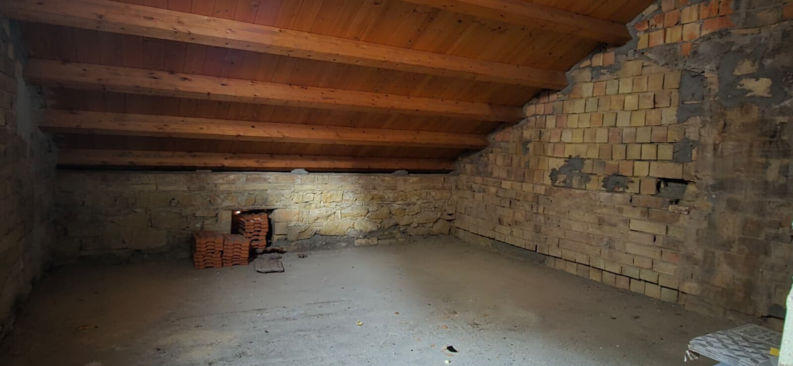 WhatsApp Image 2026-02-10 at 12.52.58 (1)