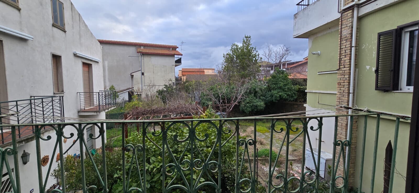 WhatsApp Image 2026-02-10 at 12.52.53 (1)