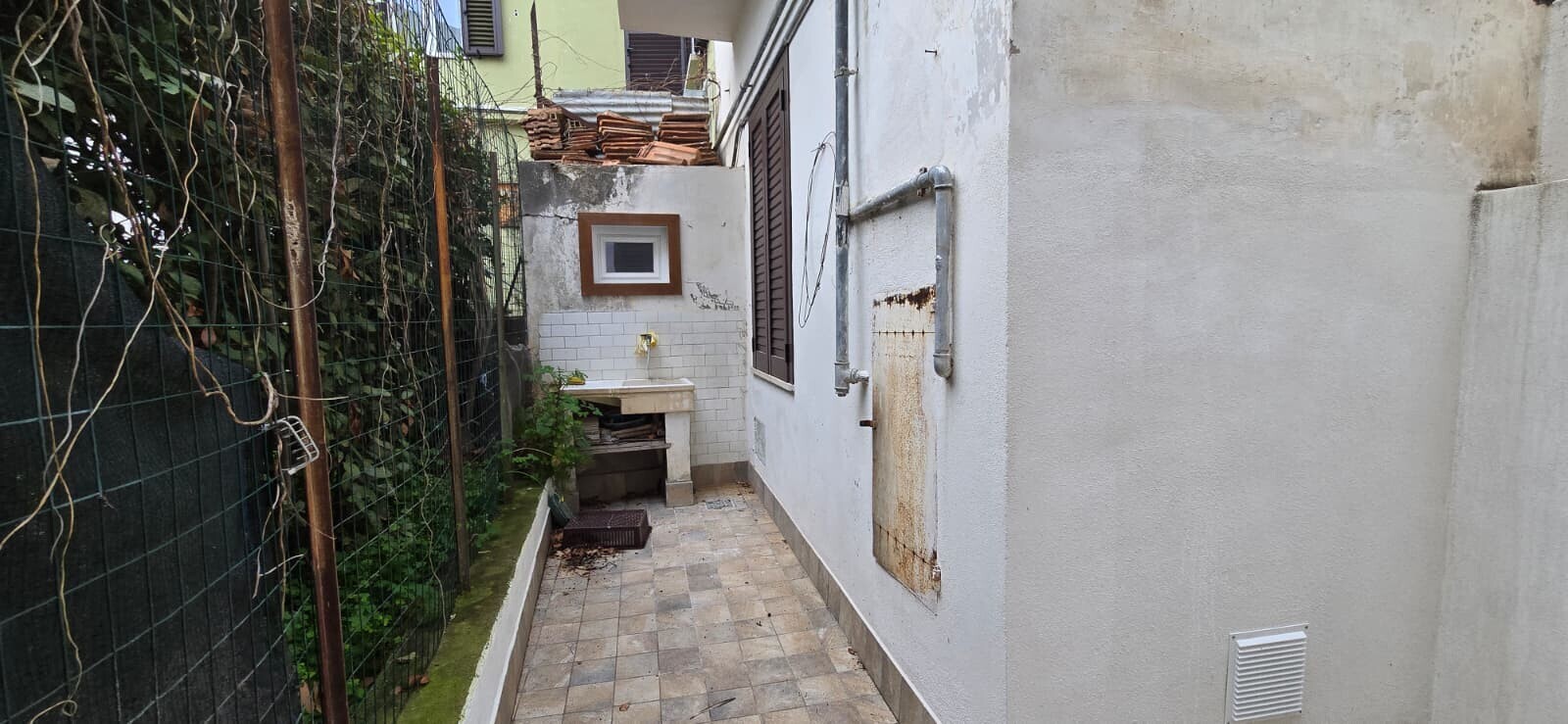 WhatsApp Image 2026-02-10 at 12.52.55 (1)