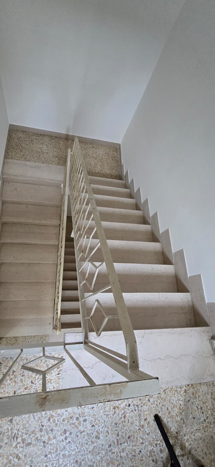 WhatsApp Image 2026-02-10 at 12.50.39