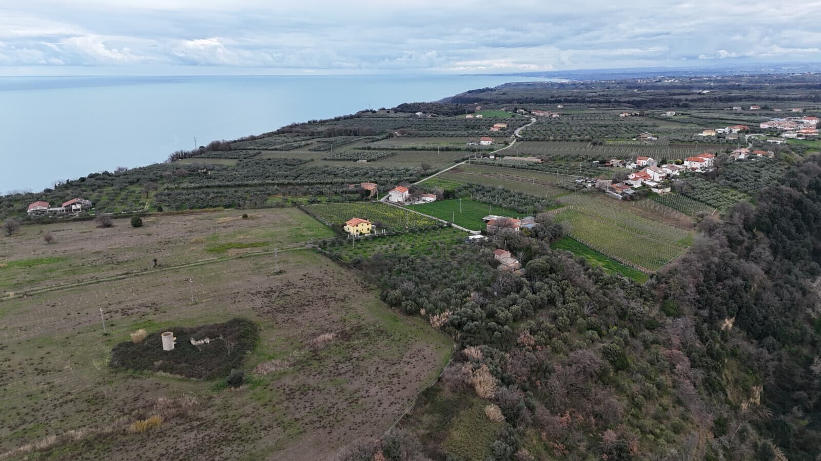 WhatsApp Image 2026-02-10 at 12.52.59 (1)