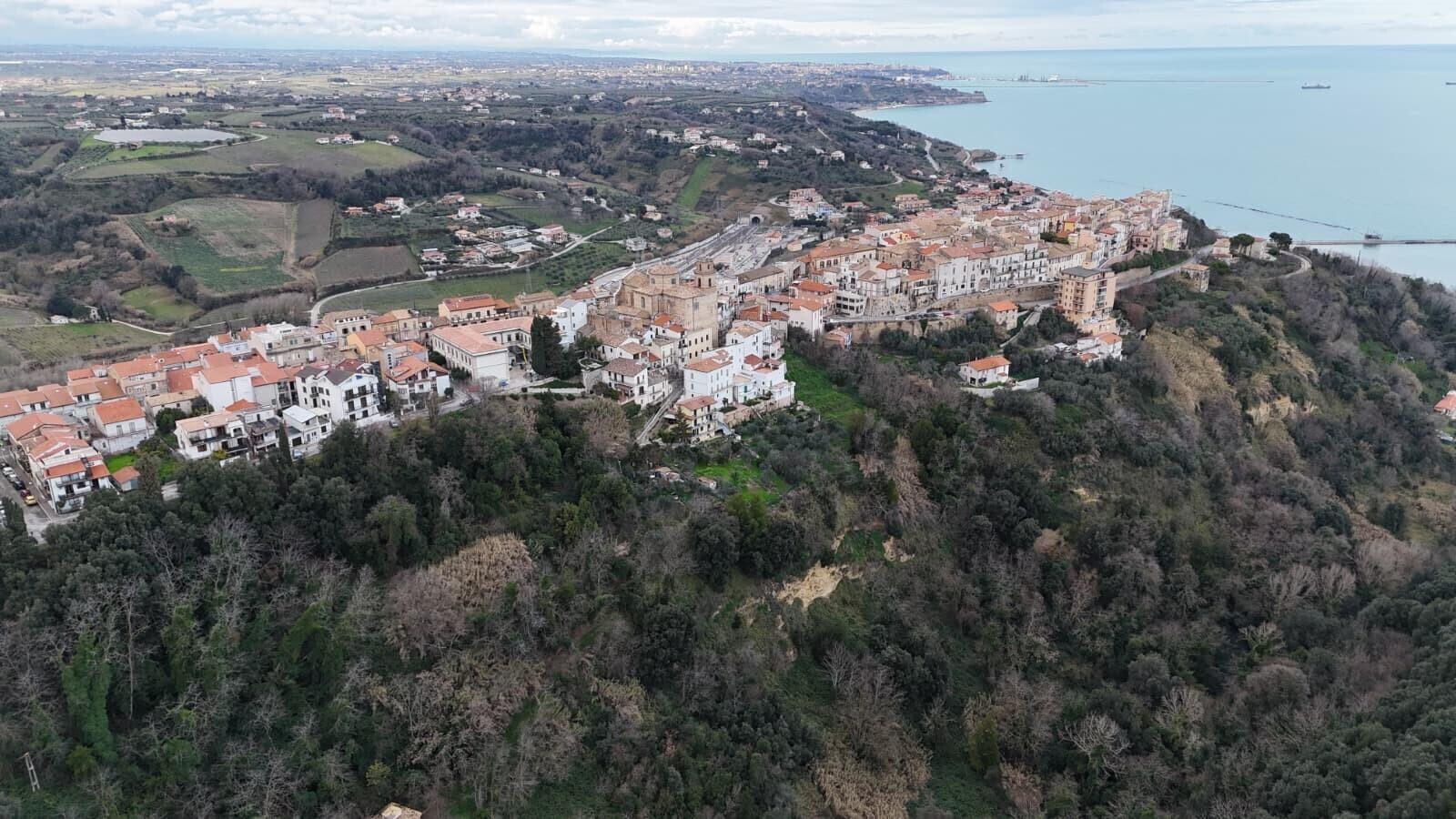 WhatsApp Image 2026-02-10 at 12.52.59 (2)