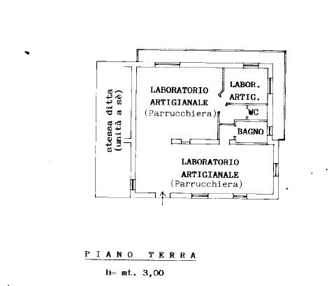 Immagine 2026-04-13 171812
