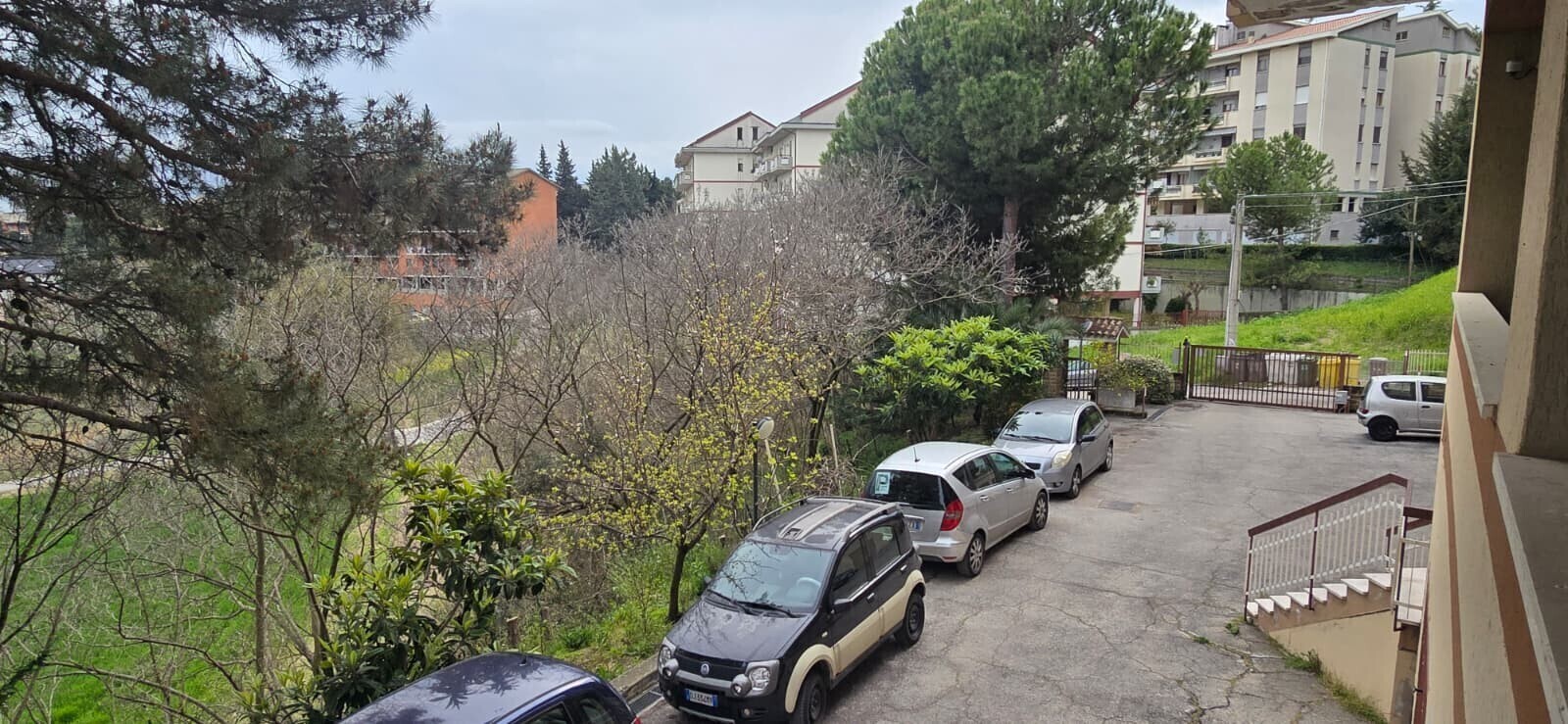 WhatsApp Image 2026-04-01 at 10.08.53