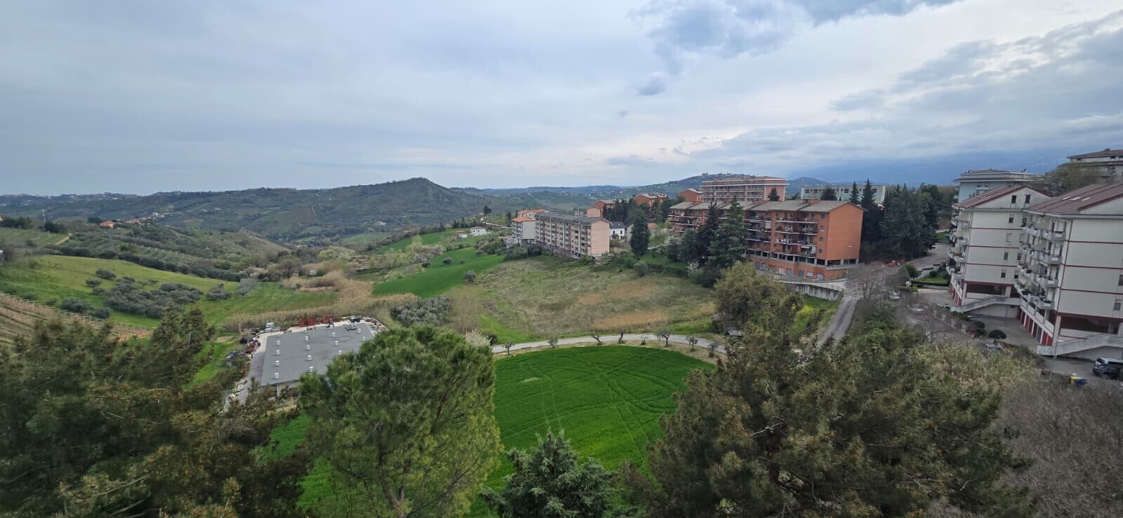 WhatsApp Image 2026-04-01 at 10.09.01 (2)