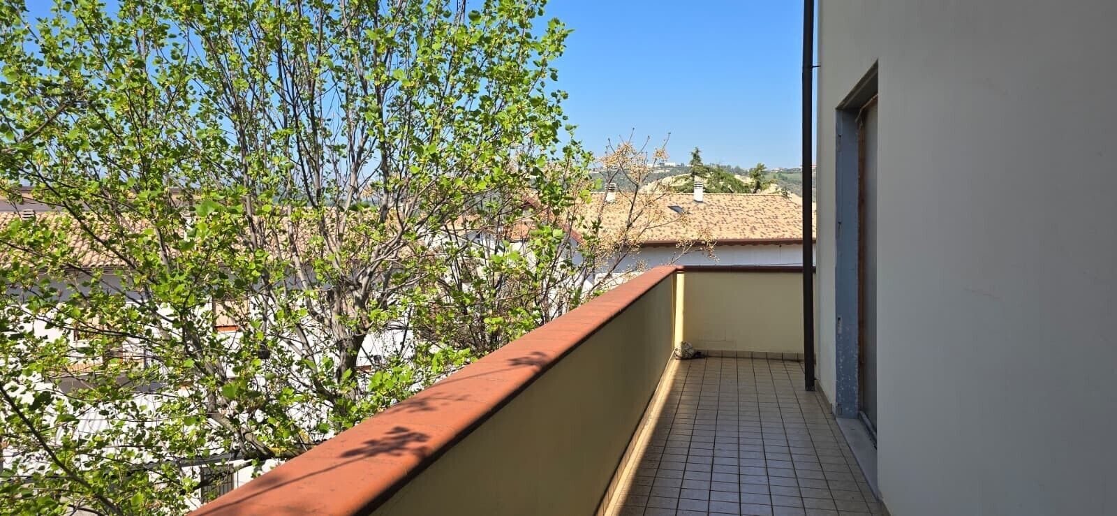 WhatsApp Image 2026-04-13 at 10.30.44 (5) - Copia