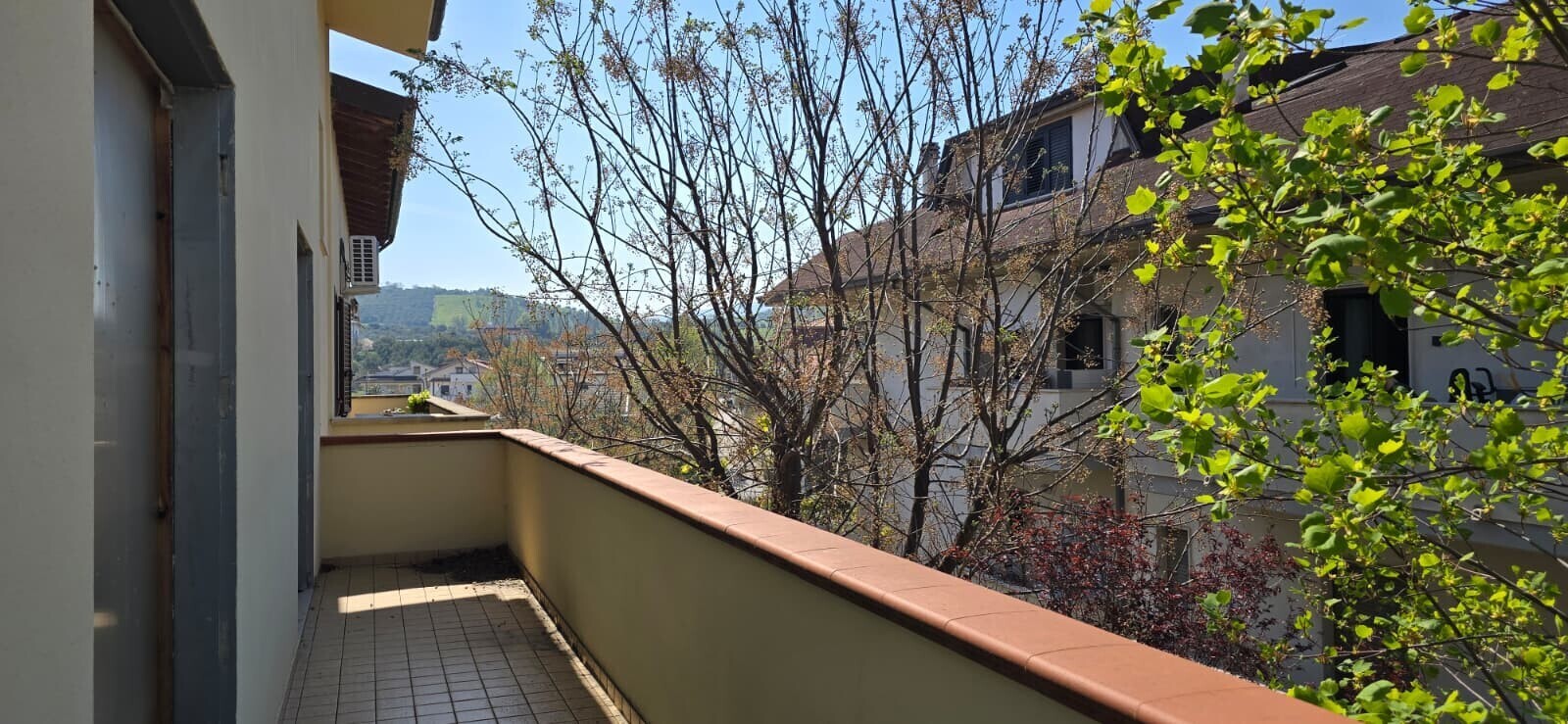 WhatsApp Image 2026-04-13 at 10.30.45 (1)