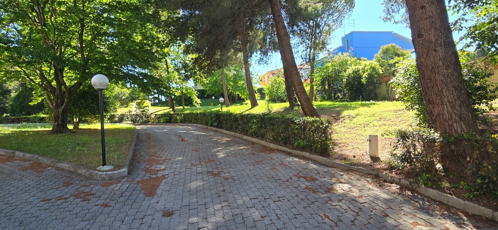 WhatsApp Image 2026-04-24 at 17.18.23 (2)