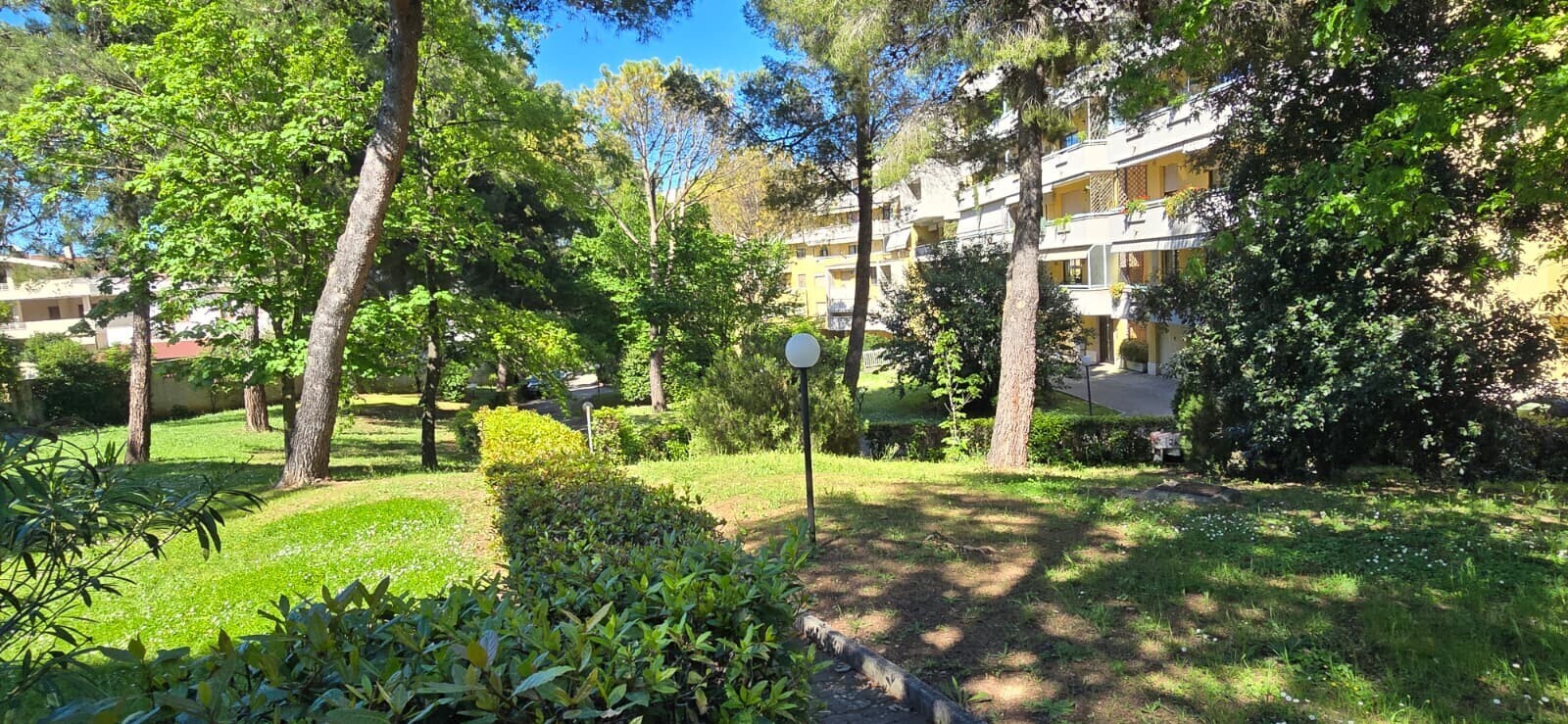 WhatsApp Image 2026-04-24 at 17.18.22 (1)