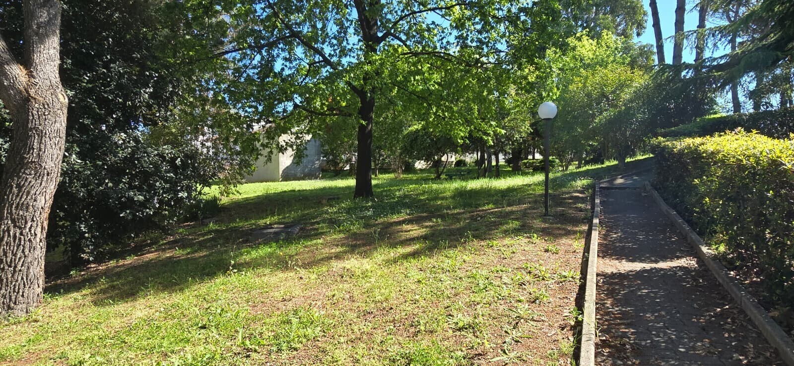 WhatsApp Image 2026-04-24 at 17.18.23