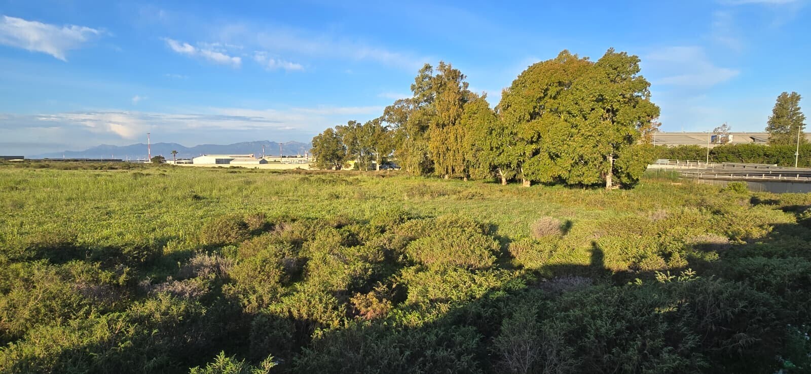 WhatsApp Image 2026-04-27 at 12.33.25 (7)