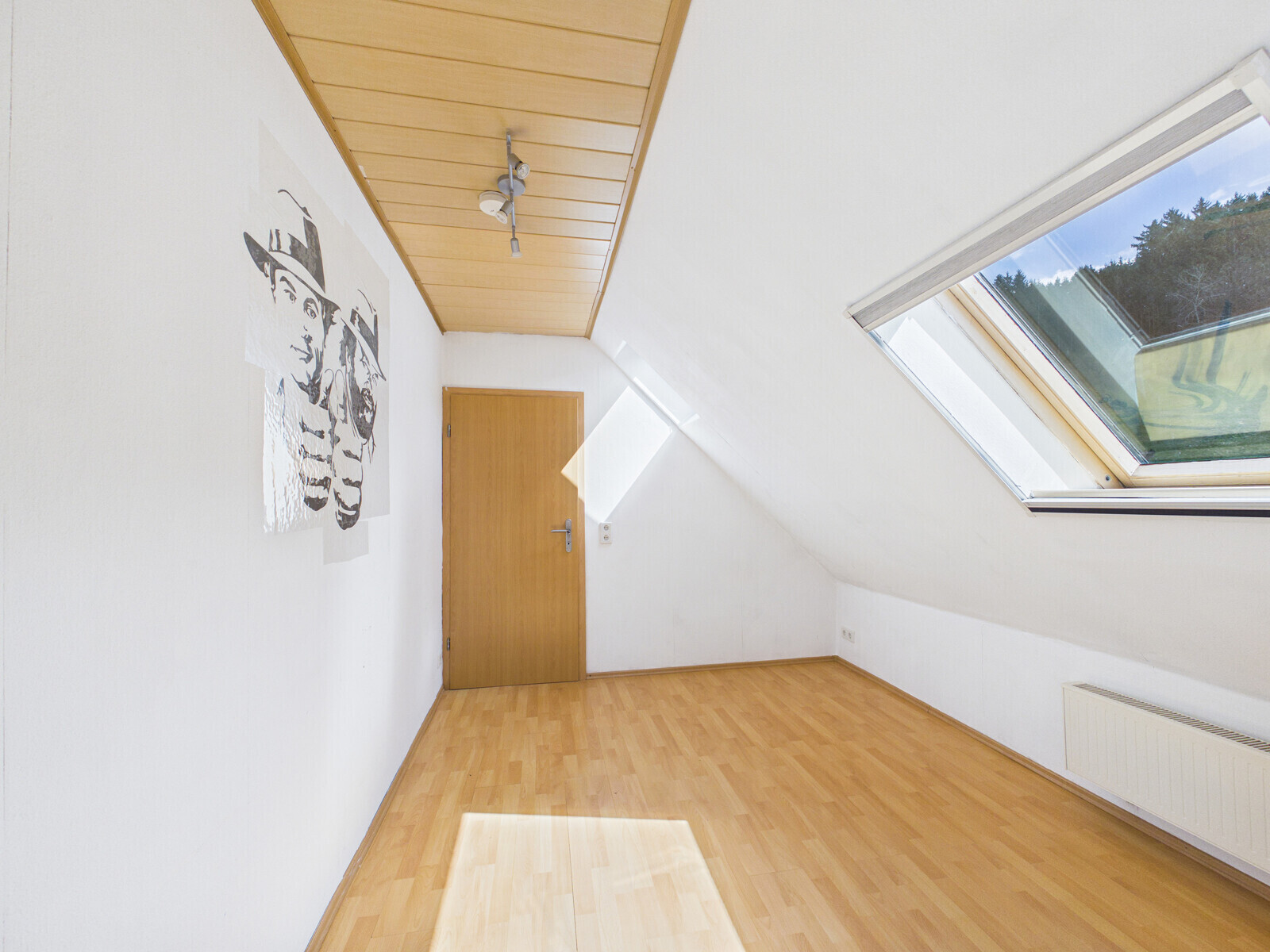 Zimmer DG