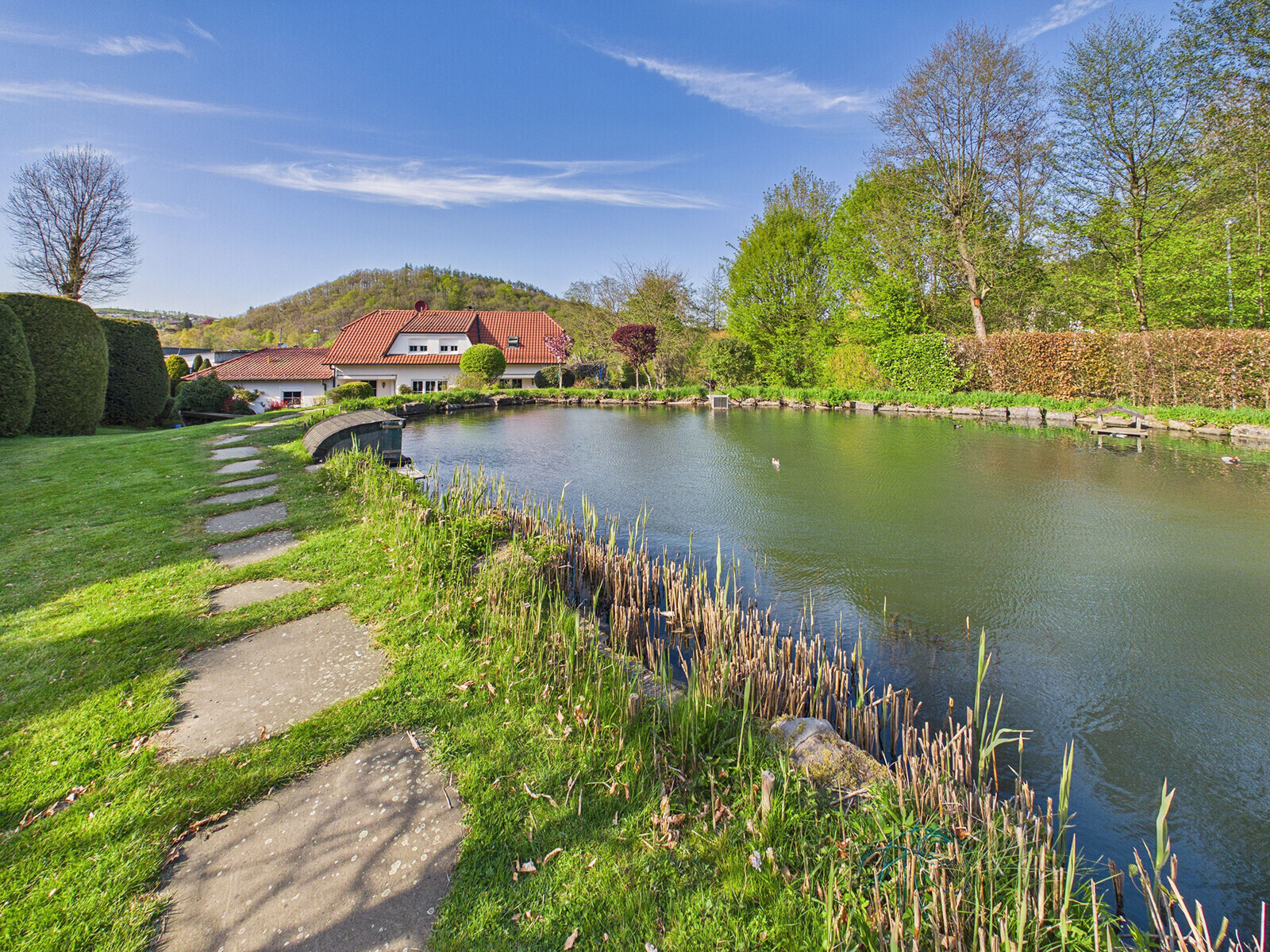 Gartenteich