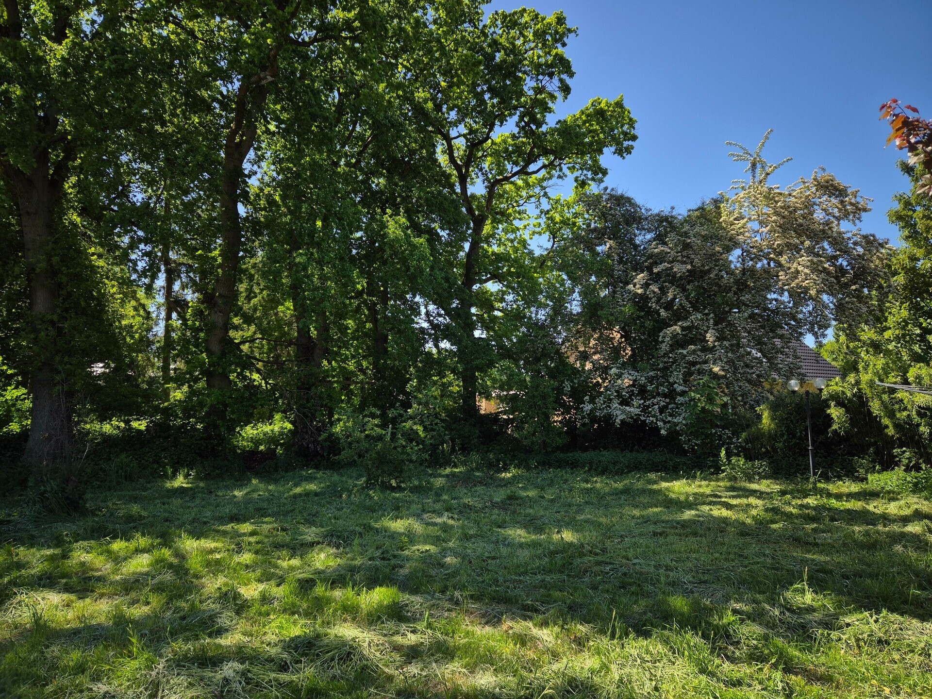 Garten m. Baumbestand