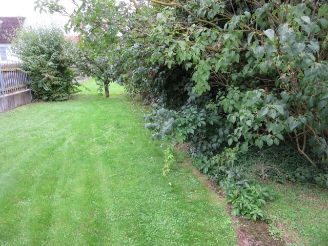 Garten 2