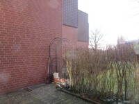 Terrasse 1