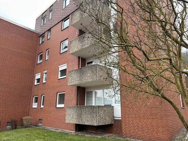 Hausansicht 3, Springe