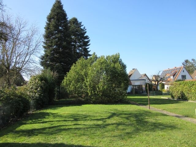 Garten 4