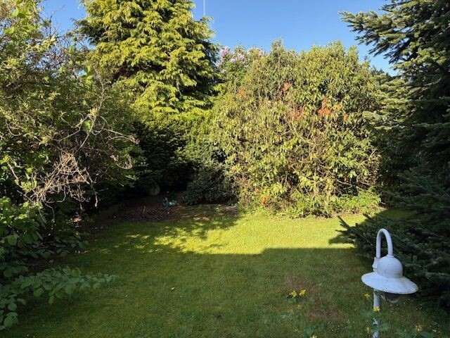 Garten 2