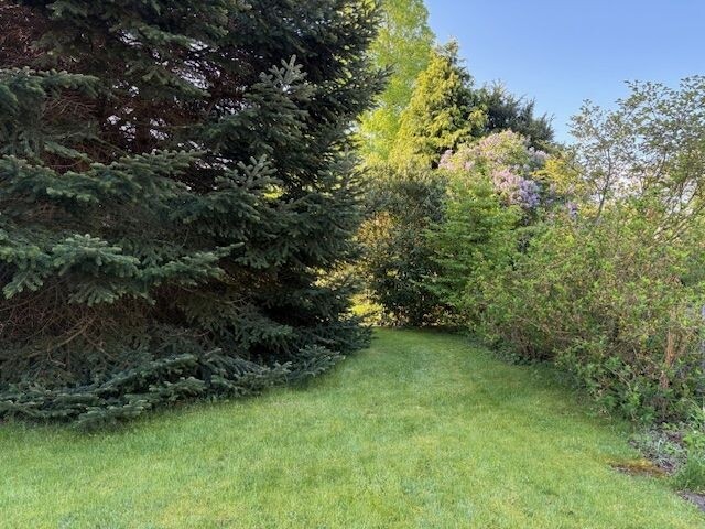 Garten 3