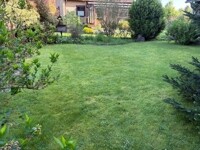 Garten 1