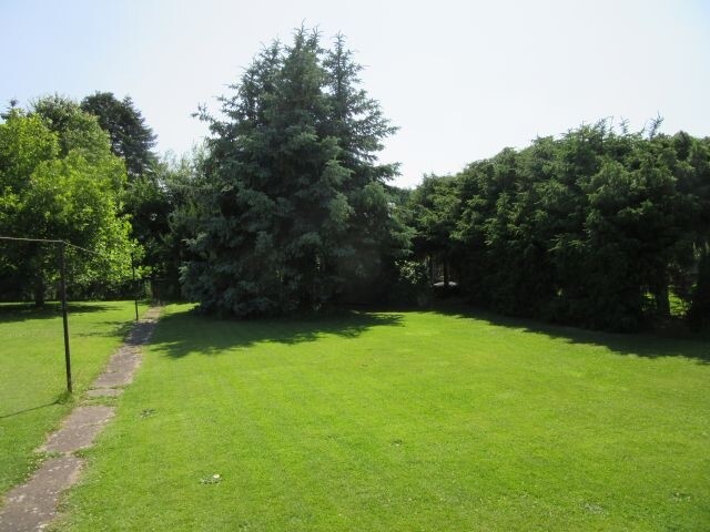 Garten 4