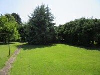 Garten 4