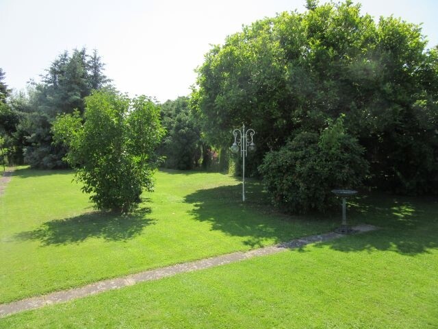 Garten 3