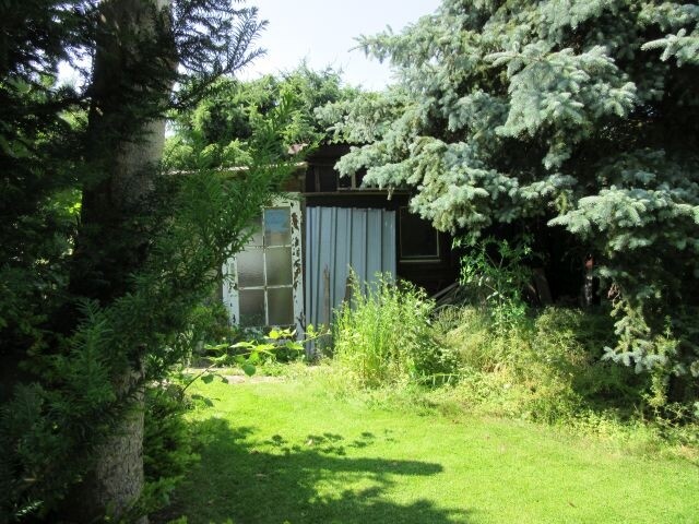 Garten 5