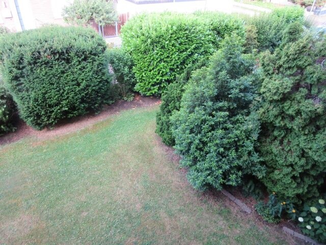 Blick vom Balkon