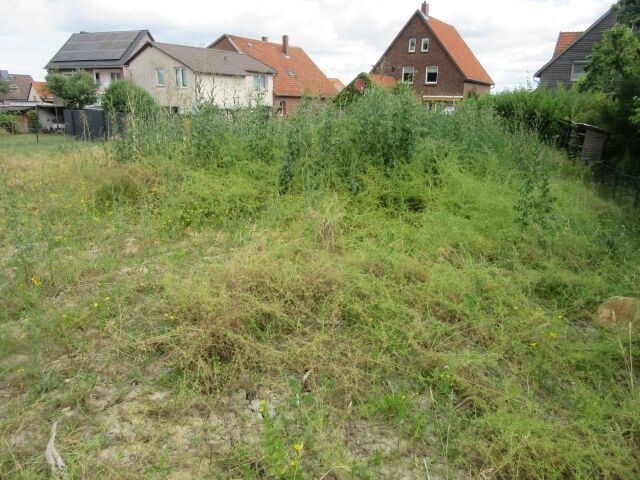 Baugrundstück 1, Barsinghausen