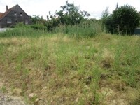 Baugrundstück 3
