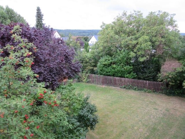 Blick vom Balkon 1
