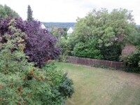 Blick vom Balkon 1