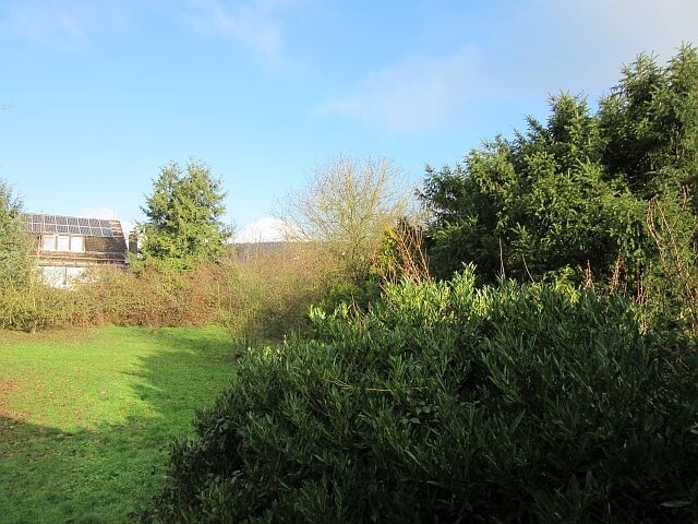 Garten 1
