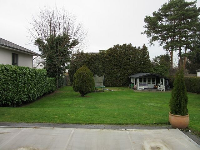 Garten 1