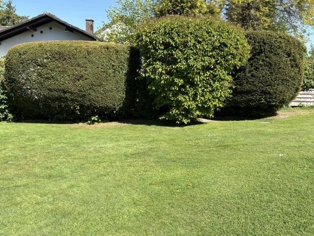 Garten 3