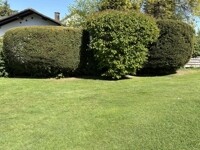 Garten 3