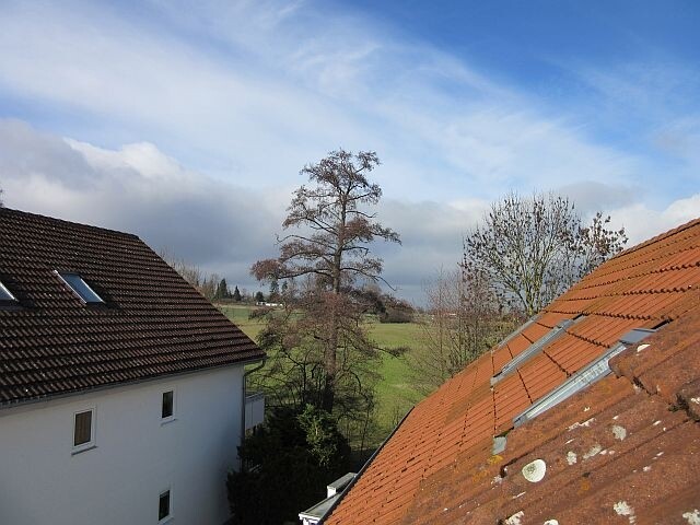 Ausblick 1