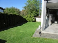 Garten 2
