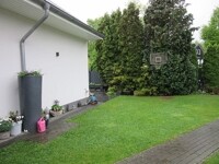 Garten 1