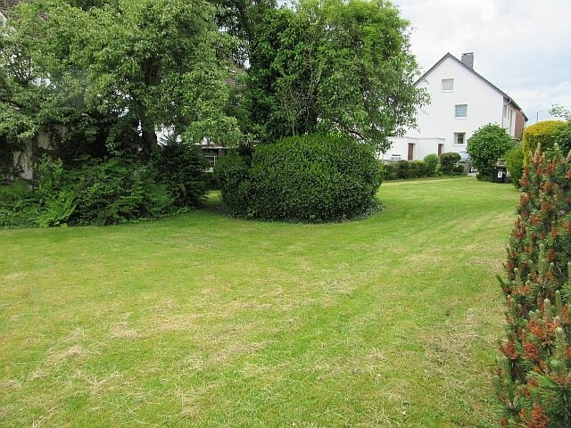 Garten 3