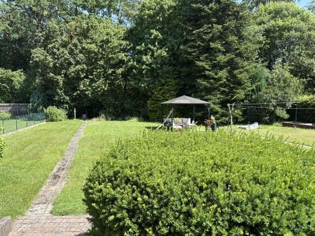 Garten 1