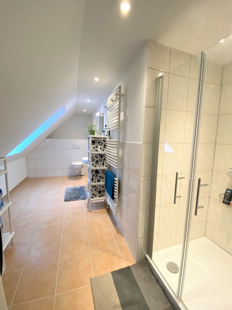 Wohnung DG und Spitzboden