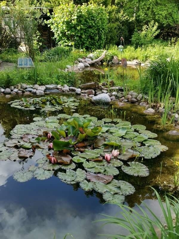 Gartenteich