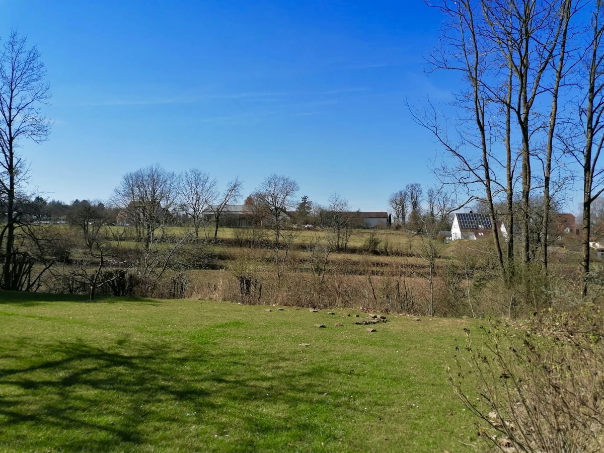 Immobilienbild