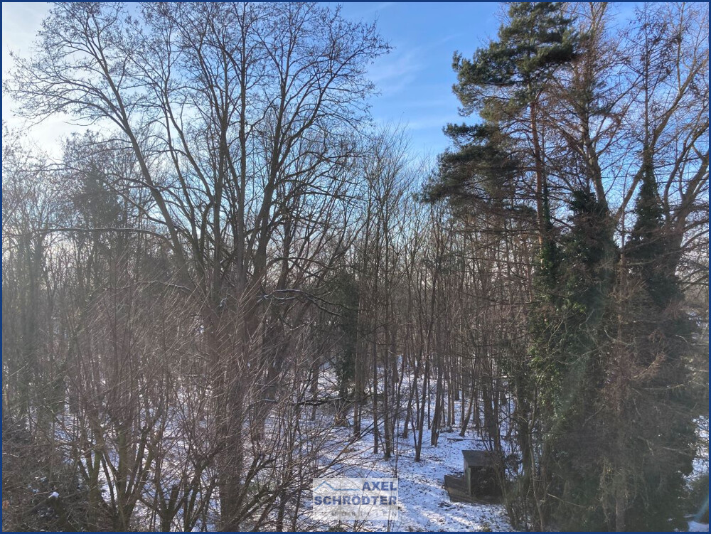 Blick von der Loggia 